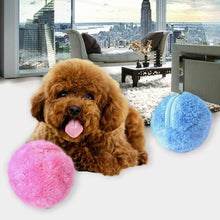 Load image into Gallery viewer, Rolling Ball to keep your puppy Busy!