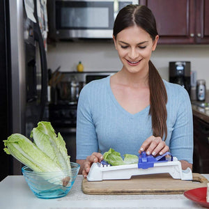 All-new Vegetable & Meat Roller/Sushi Maker