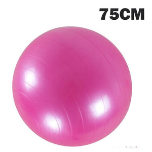 Keep Fit With Home Fitness Yoga Ball /Massage Ball