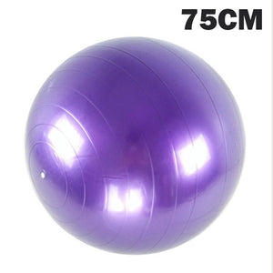 Keep Fit With Home Fitness Yoga Ball /Massage Ball
